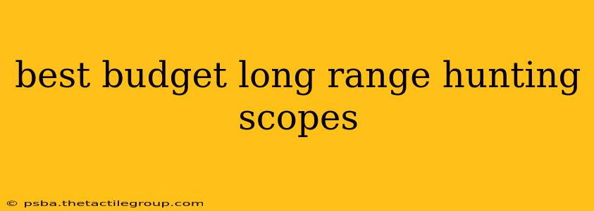 best budget long range hunting scopes