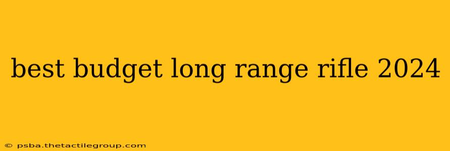 best budget long range rifle 2024