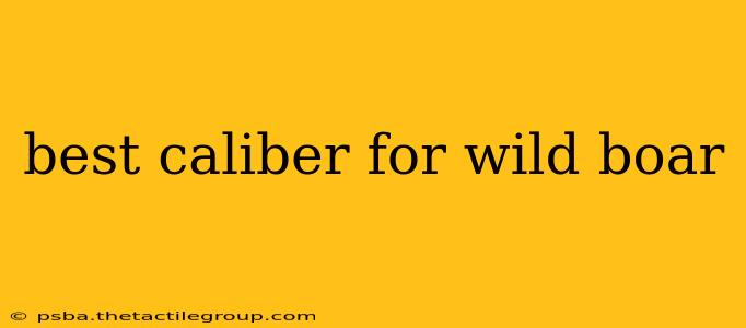 best caliber for wild boar