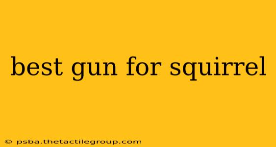 best gun for squirrel