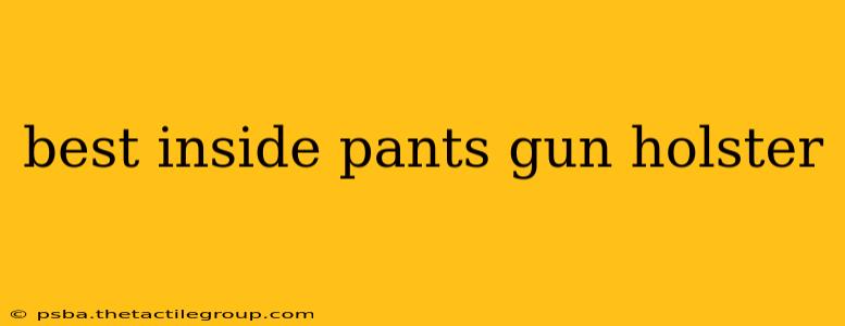 best inside pants gun holster