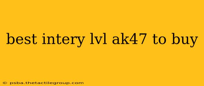 best intery lvl ak47 to buy