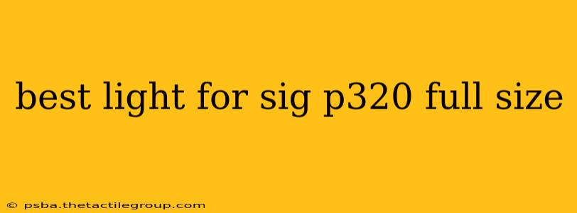 best light for sig p320 full size