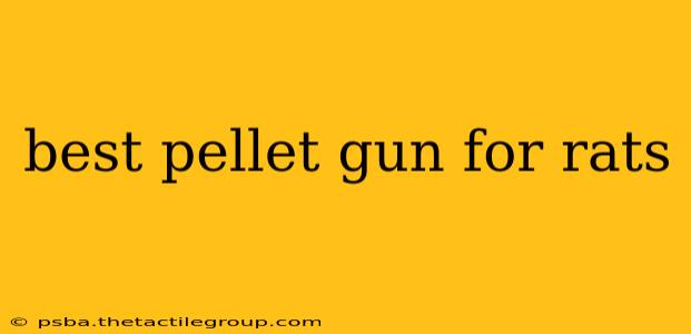 best pellet gun for rats