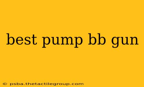 best pump bb gun