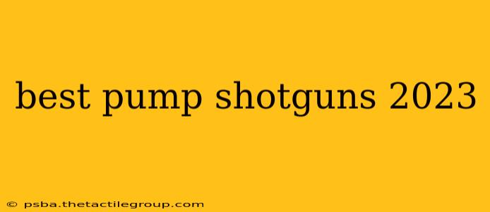 best pump shotguns 2023