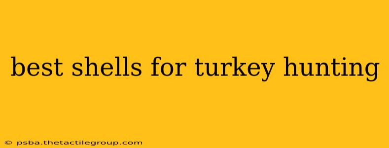 best shells for turkey hunting