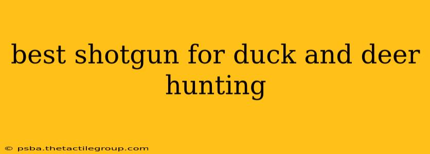 best shotgun for duck and deer hunting