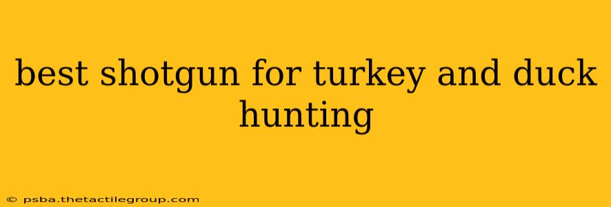 best shotgun for turkey and duck hunting