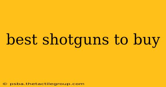 best shotguns to buy