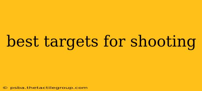 best targets for shooting