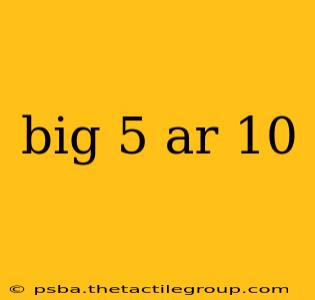 big 5 ar 10