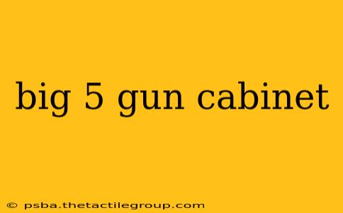 big 5 gun cabinet