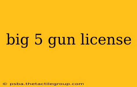 big 5 gun license