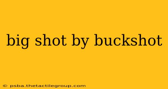 big shot by buckshot