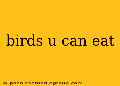 birds u can eat