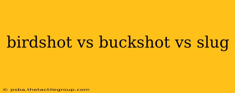 birdshot vs buckshot vs slug