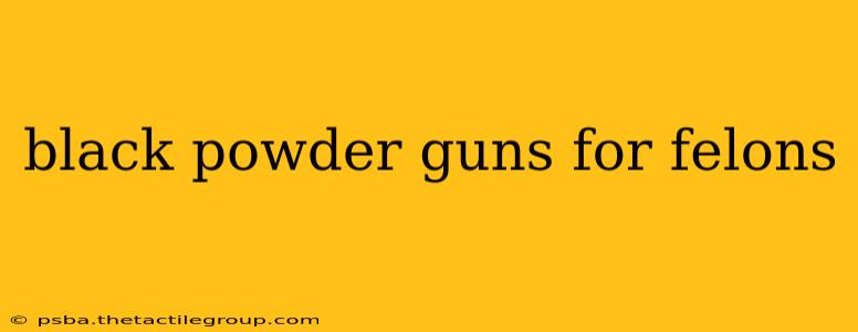 black powder guns for felons