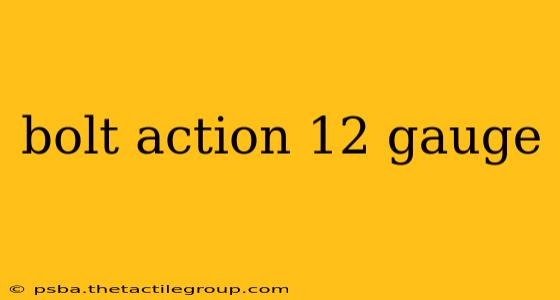 bolt action 12 gauge