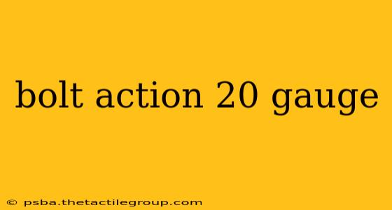 bolt action 20 gauge