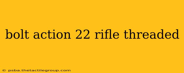 bolt action 22 rifle threaded