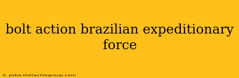 bolt action brazilian expeditionary force