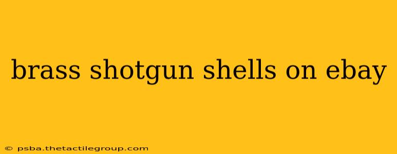 brass shotgun shells on ebay