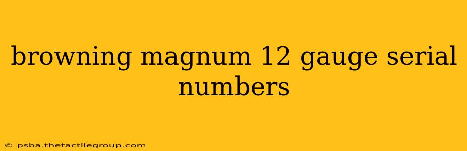 browning magnum 12 gauge serial numbers