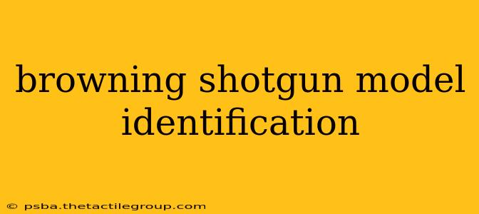 browning shotgun model identification