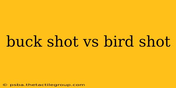 buck shot vs bird shot