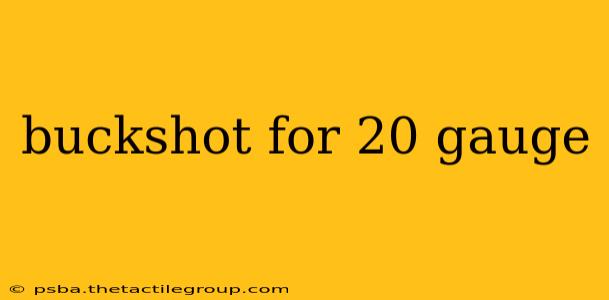 buckshot for 20 gauge