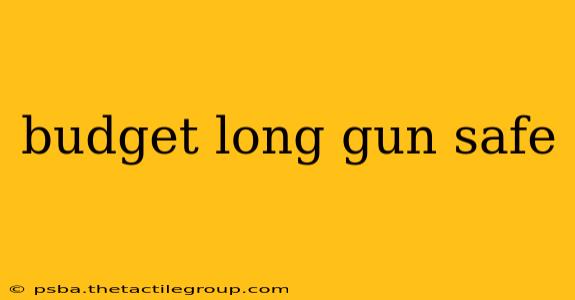 budget long gun safe