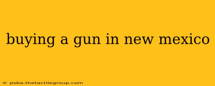 buying a gun in new mexico