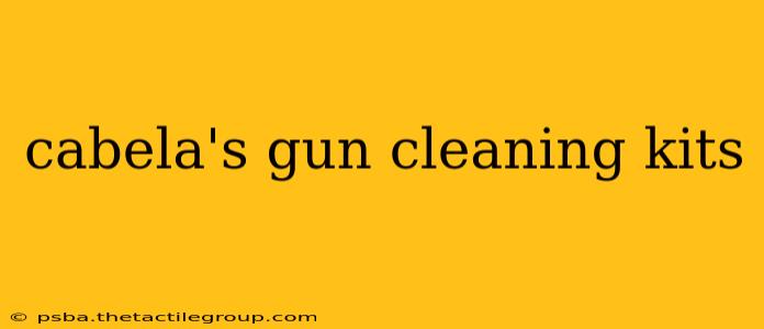 cabela's gun cleaning kits