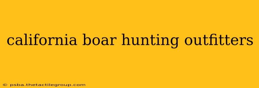 california boar hunting outfitters