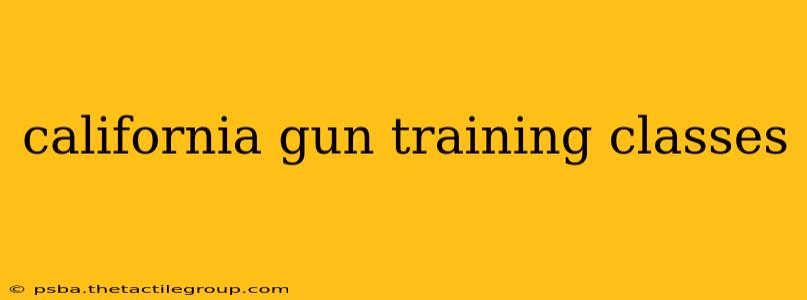 california gun training classes