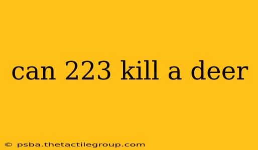 can 223 kill a deer