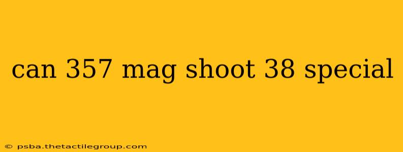 can 357 mag shoot 38 special