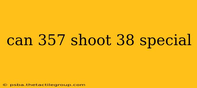 can 357 shoot 38 special