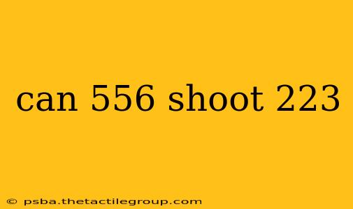 can 556 shoot 223