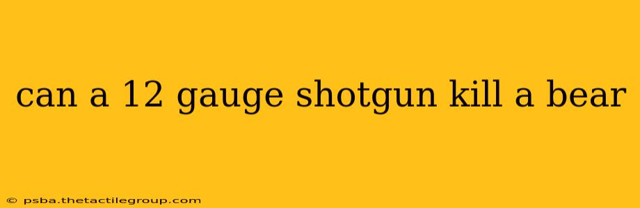 can a 12 gauge shotgun kill a bear