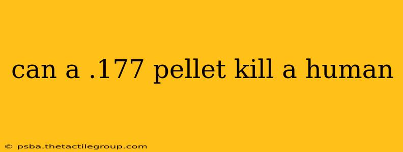 can a .177 pellet kill a human