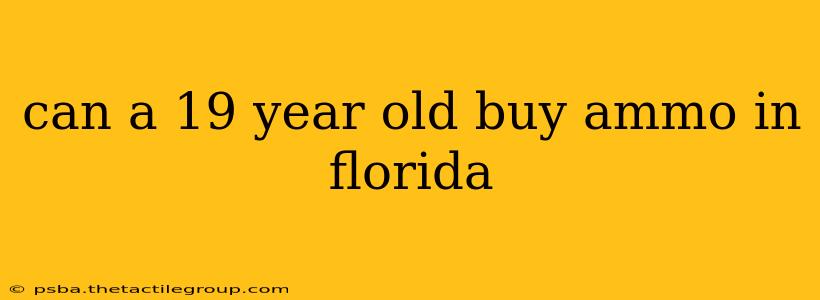 can a 19 year old buy ammo in florida