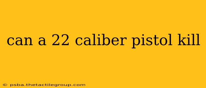 can a 22 caliber pistol kill