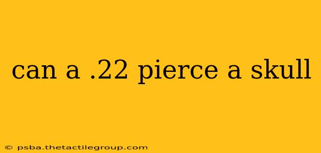 can a .22 pierce a skull