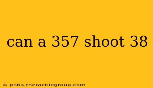 can a 357 shoot 38