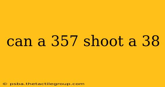 can a 357 shoot a 38