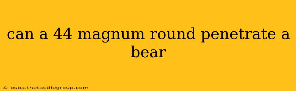 can a 44 magnum round penetrate a bear