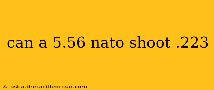 can a 5.56 nato shoot .223