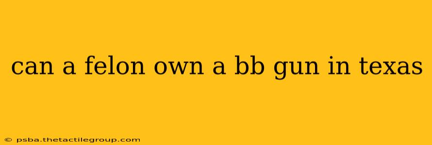 can a felon own a bb gun in texas